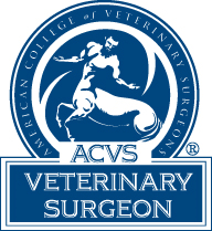 ACVS Veterinary Surgeon