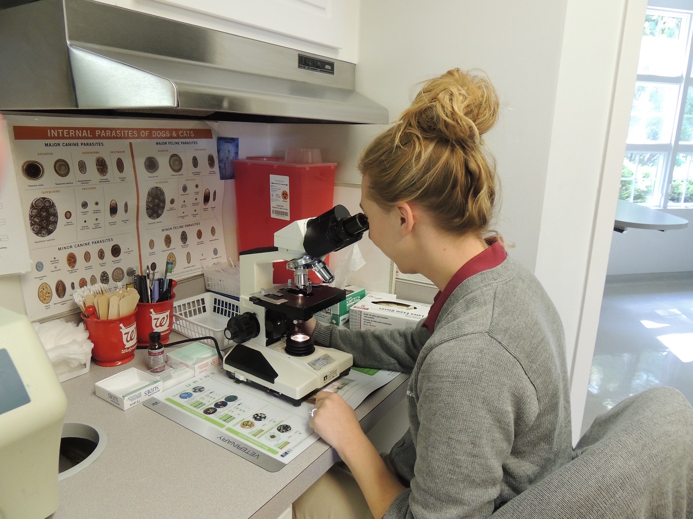 Staff Looking Through a Microscope