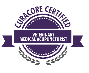 Acupuncture Certified logo